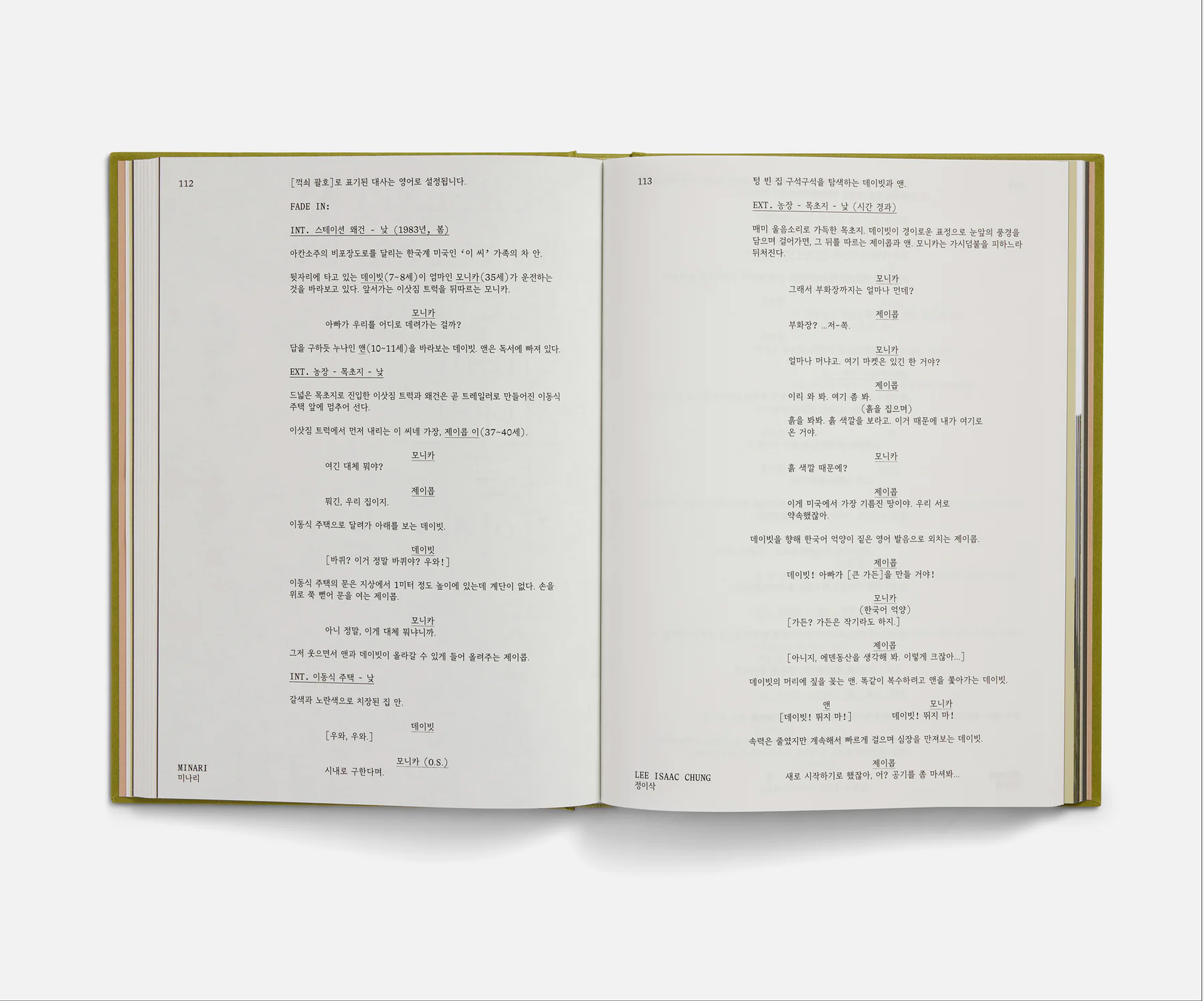 Minari Screenplay Book